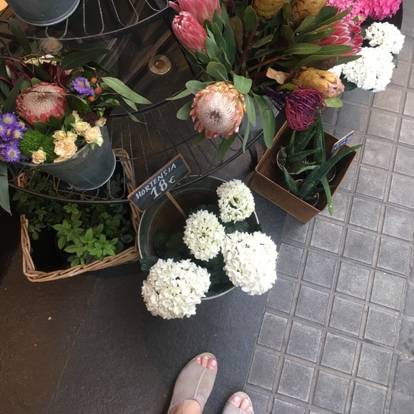 Meet your Posher, Bridget - Picture 1 of 1